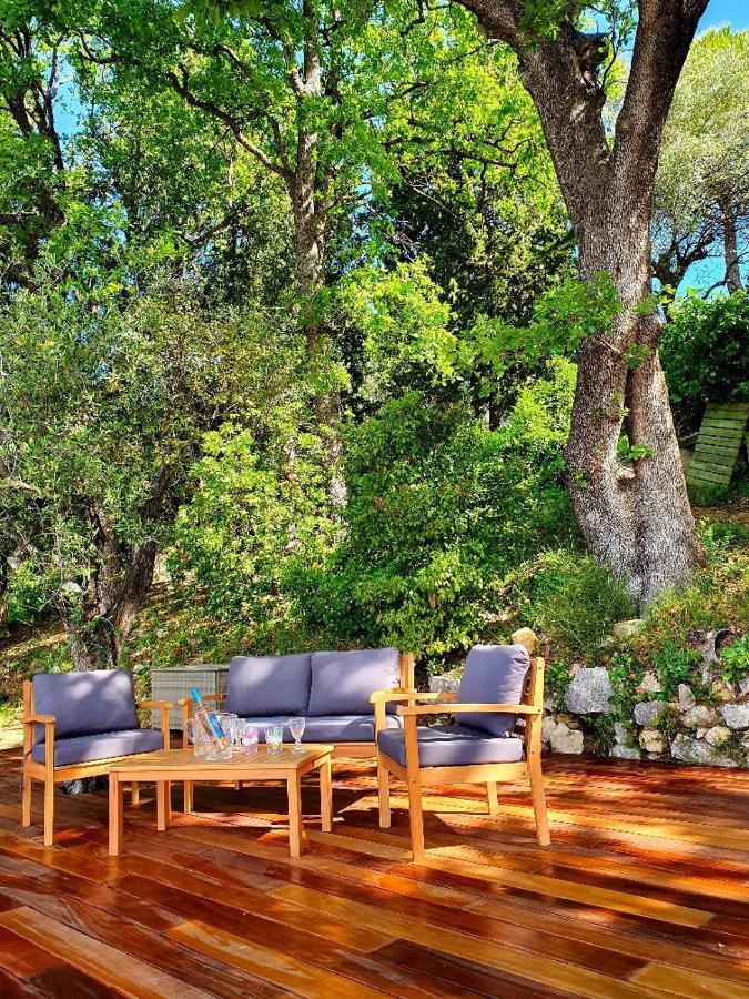 Apartment Picasso In Large Park With Heated Pool Chateauneuf-Grasse 外观 照片