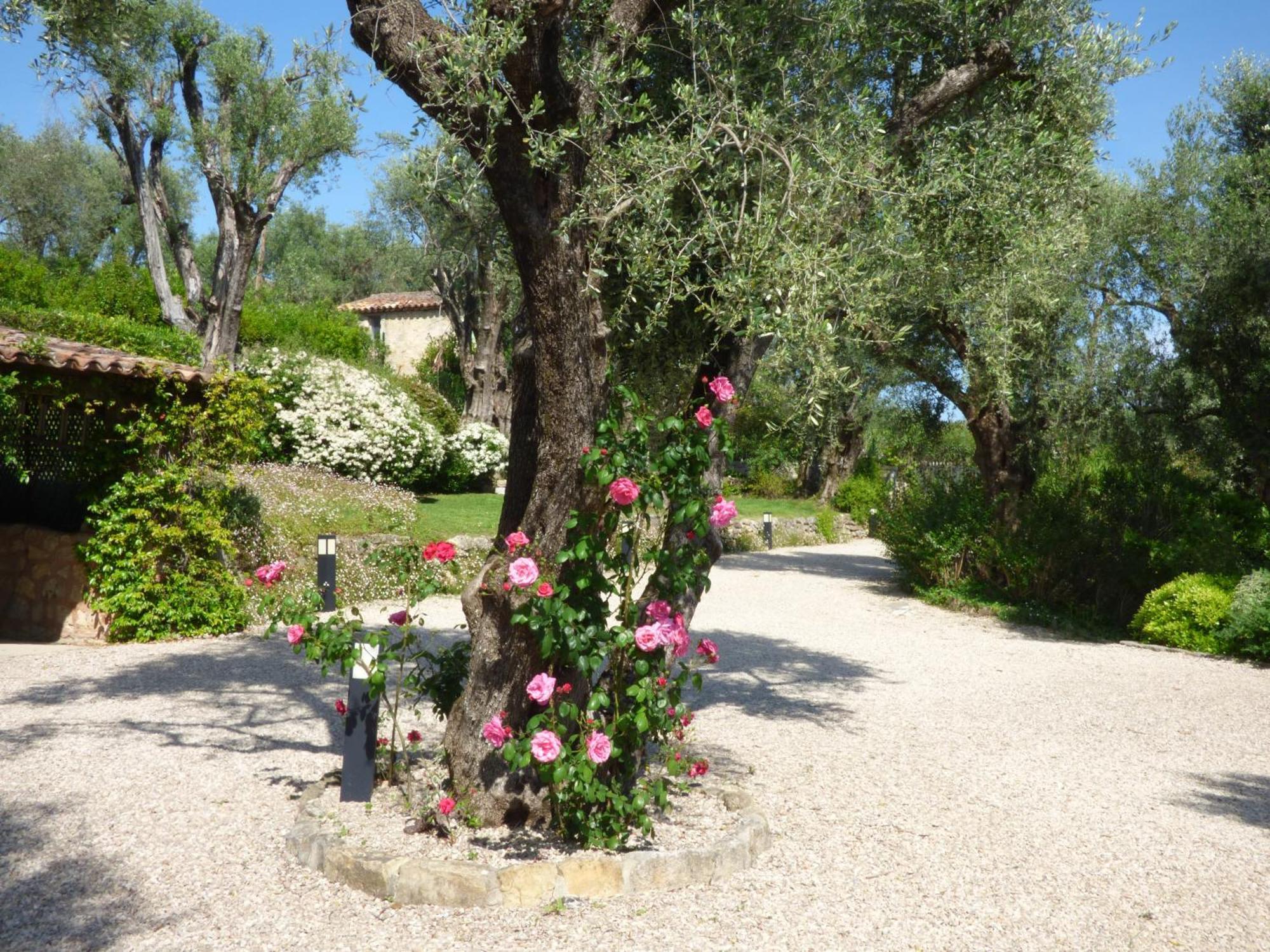 Apartment Picasso In Large Park With Heated Pool Chateauneuf-Grasse 外观 照片